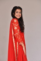 Sasha Singh Stills